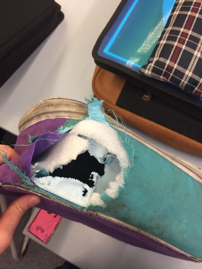My Daughter Left Her Lunchbox At School Accidentally. She Found It 3 Weeks Later Like This...