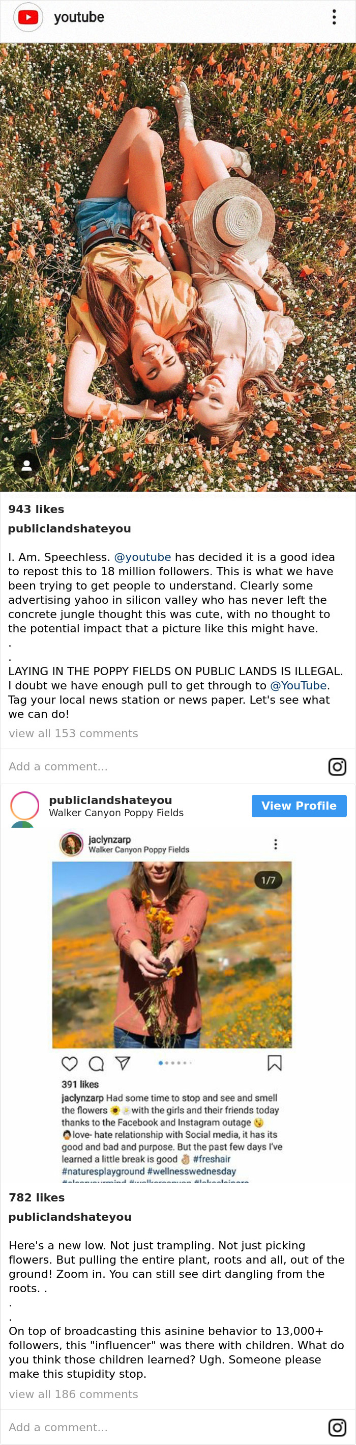 This Vigilante Shames Influencers For Bad Behavior In National Parks