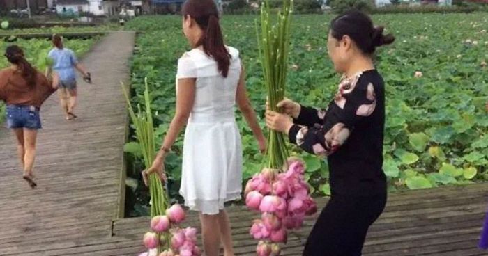 26 People Who Witnessed Tourists Being Total Jerks And Just Had To Share