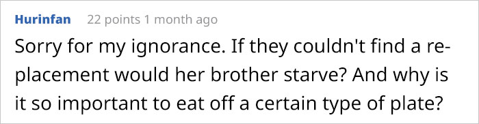 Girl Breaks The Only Plate Her Autistic Brother Eats Off Of, Asks For Help On Reddit And People Deliver