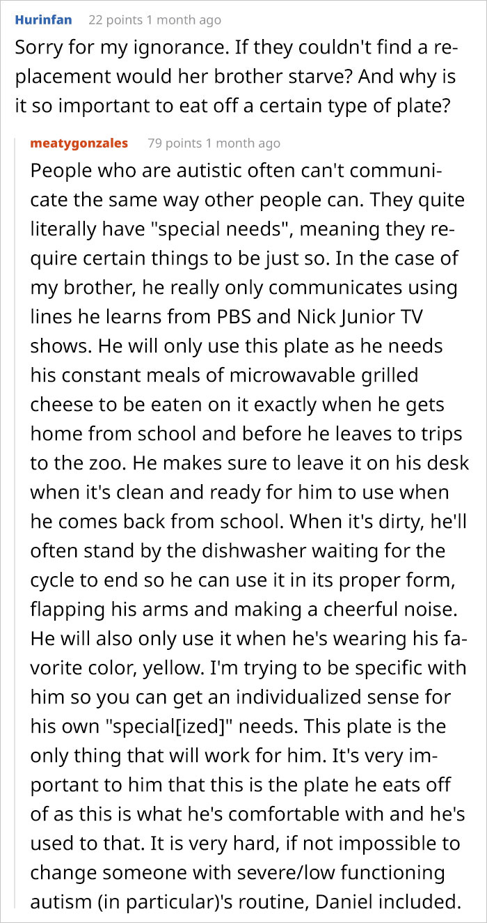 Girl Breaks The Only Plate Her Autistic Brother Eats Off Of, Asks For Help On Reddit And People Deliver
