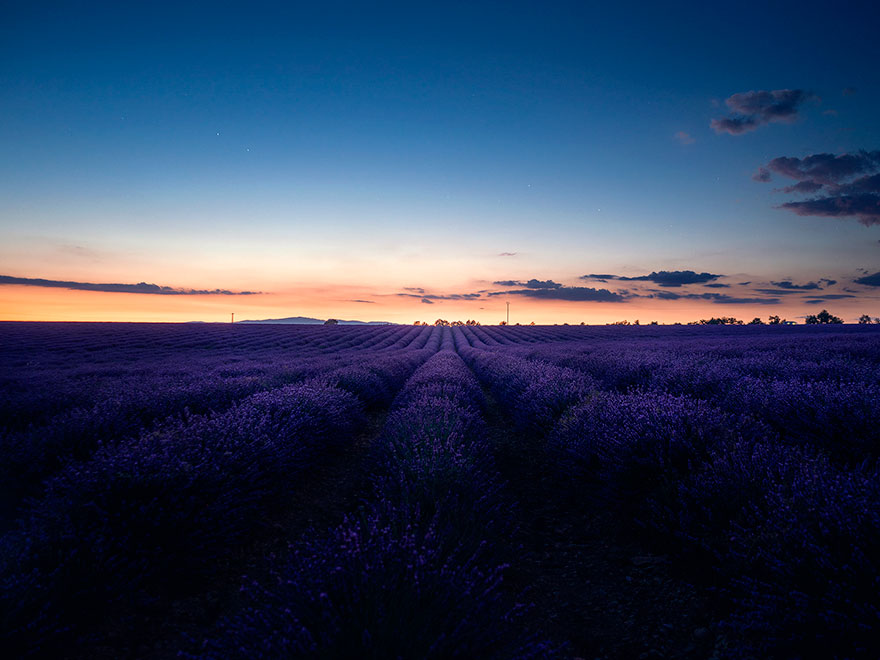 Breathtaking Aerial Photos Of A Lavender Field In Southern France By Samir Belhamra (12 Pics)
