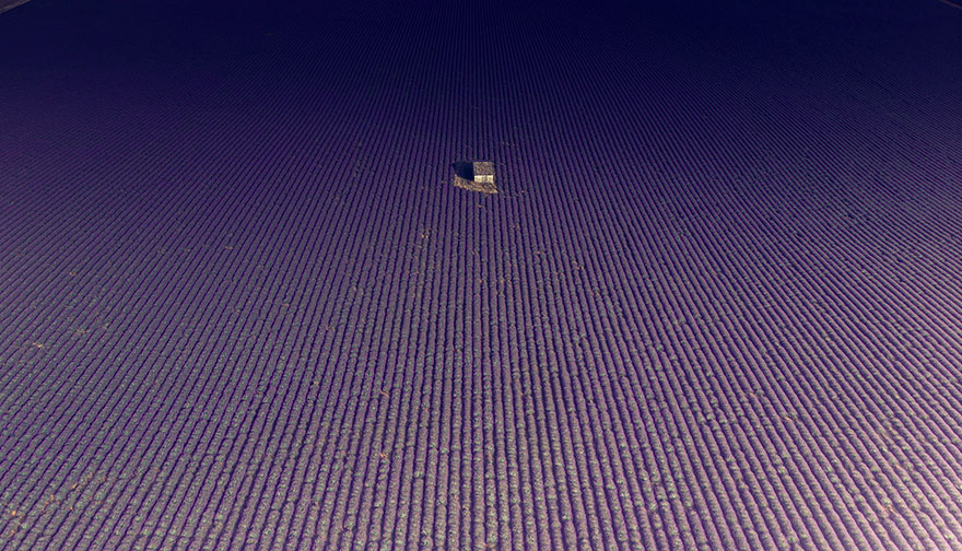 Breathtaking Aerial Photos Of A Lavender Field In Southern France By Samir Belhamra (12 Pics)
