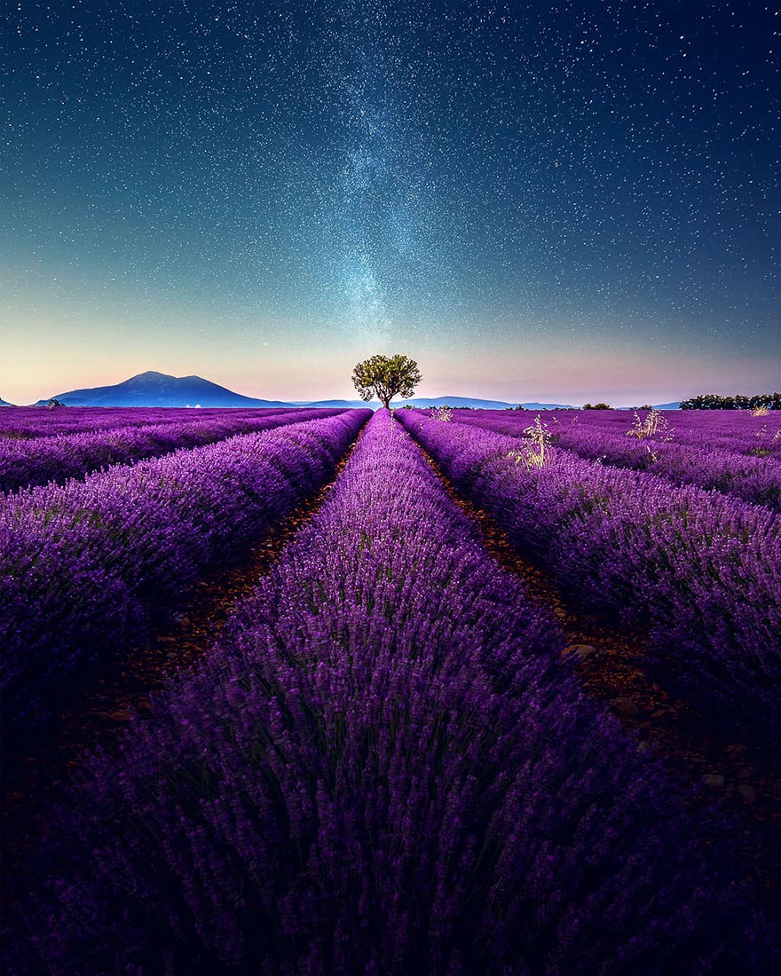 Breathtaking Aerial Photos Of A Lavender Field In Southern France By Samir Belhamra (12 Pics)