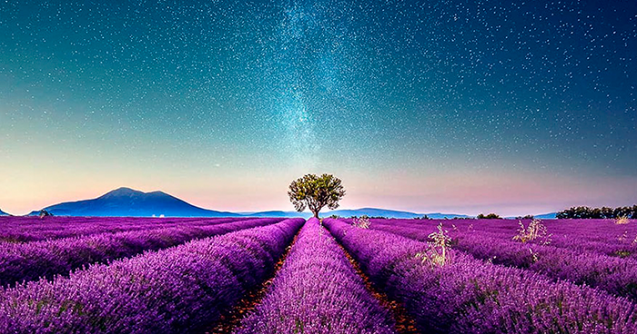 Breathtaking Aerial Photos Of A Lavender Field In Southern France By Samir Belhamra (12 Pics)