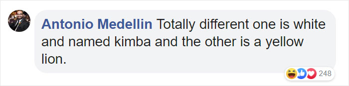 Disney Gets Accused Of Stealing The Idea For 'Lion King' From 'Kimba The White Lion' And Some Frame-By-Frame Comparisons Are Convincing