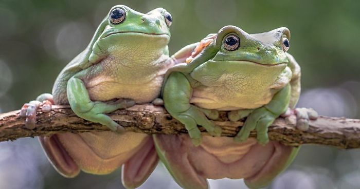 We Asked Photographers From All Around The World What ‘Love’ Meant To Them, And Here Are Their Responses (40 Pics)