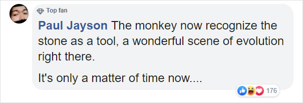 Zoo's Visitor Sees Monkey Sharpening A Rock, Later It Uses It To Shatter Its Glass Enclosure