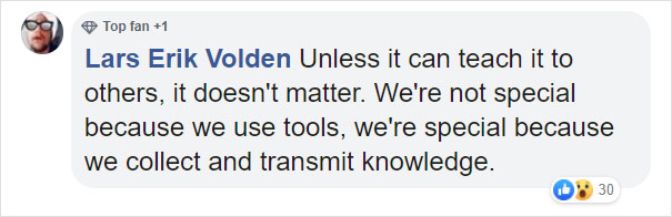 Zoo's Visitor Sees Monkey Sharpening A Rock, Later It Uses It To Shatter Its Glass Enclosure