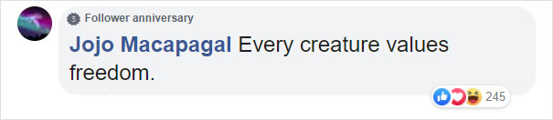 Zoo's Visitor Sees Monkey Sharpening A Rock, Later It Uses It To Shatter Its Glass Enclosure