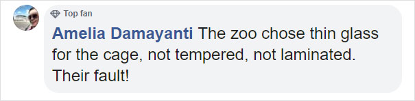 Zoo's Visitor Sees Monkey Sharpening A Rock, Later It Uses It To Shatter Its Glass Enclosure Zoo's Visitor Sees Monkey Sharpening A Rock, Later It Uses It To Shatter Its Glass Enclosure