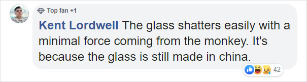 Zoo's Visitor Sees Monkey Sharpening A Rock, Later It Uses It To Shatter Its Glass Enclosure