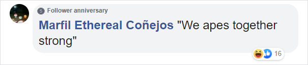 Zoo's Visitor Sees Monkey Sharpening A Rock, Later It Uses It To Shatter Its Glass Enclosure Zoo's Visitor Sees Monkey Sharpening A Rock, Later It Uses It To Shatter Its Glass Enclosure