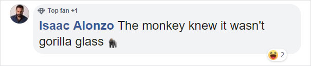 Zoo's Visitor Sees Monkey Sharpening A Rock, Later It Uses It To Shatter Its Glass Enclosure Zoo's Visitor Sees Monkey Sharpening A Rock, Later It Uses It To Shatter Its Glass Enclosure