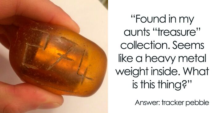 40 Times People Had No Idea What They Were Looking At, But The Internet Knew What It Was Right Away