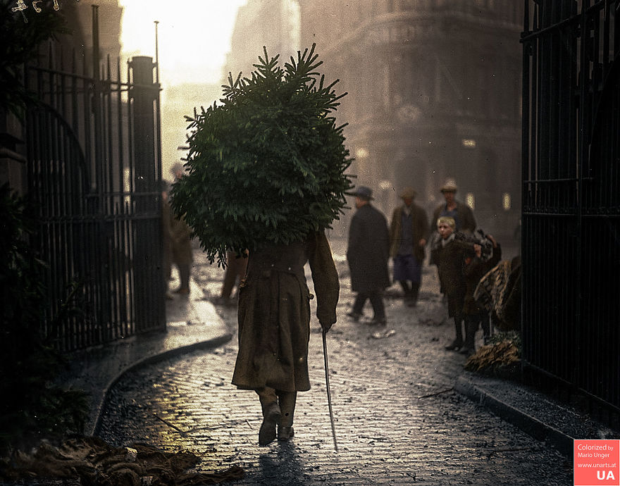 Taking The Christmas Tree Home, Chelsea, London, 1914