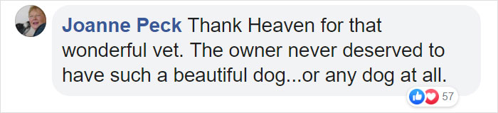 Heartless Owner Demands Overweight Retriever Be Put Down, Vet Finds Him A New Loving Home