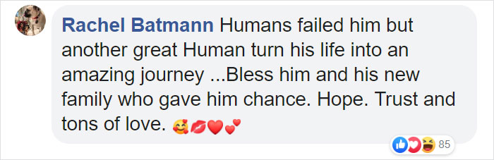 Heartless Owner Demands Overweight Retriever Be Put Down, Vet Finds Him A New Loving Home Heartless Owner Demands Overweight Retriever Be Put Down, Vet Finds Him A New Loving Home