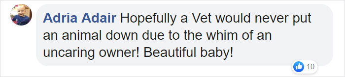 Heartless Owner Demands Overweight Retriever Be Put Down, Vet Finds Him A New Loving Home Heartless Owner Demands Overweight Retriever Be Put Down, Vet Finds Him A New Loving Home