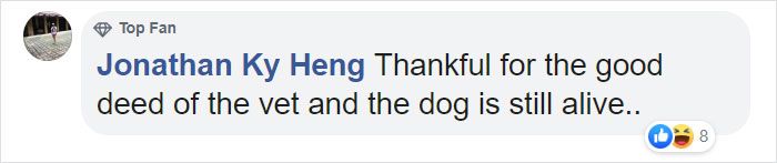 Heartless Owner Demands Overweight Retriever Be Put Down, Vet Finds Him A New Loving Home Heartless Owner Demands Overweight Retriever Be Put Down, Vet Finds Him A New Loving Home