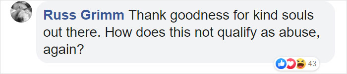 Heartless Owner Demands Overweight Retriever Be Put Down, Vet Finds Him A New Loving Home Heartless Owner Demands Overweight Retriever Be Put Down, Vet Finds Him A New Loving Home