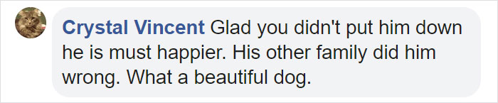 Heartless Owner Demands Overweight Retriever Be Put Down, Vet Finds Him A New Loving Home Heartless Owner Demands Overweight Retriever Be Put Down, Vet Finds Him A New Loving Home