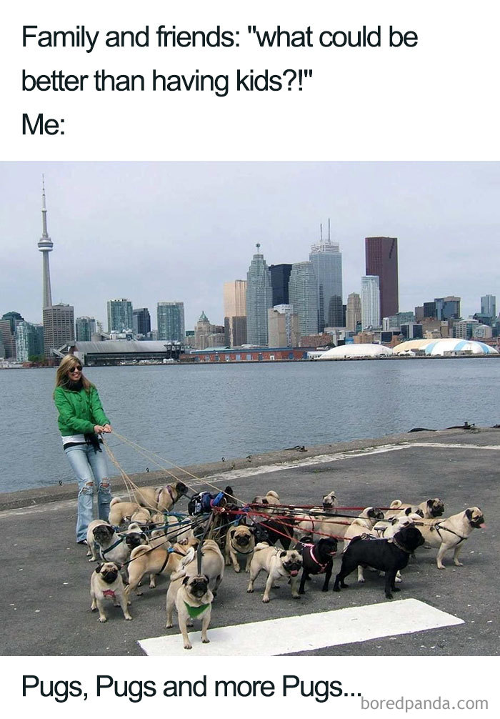 People-Dont-Want-Kids-Funny-Memes