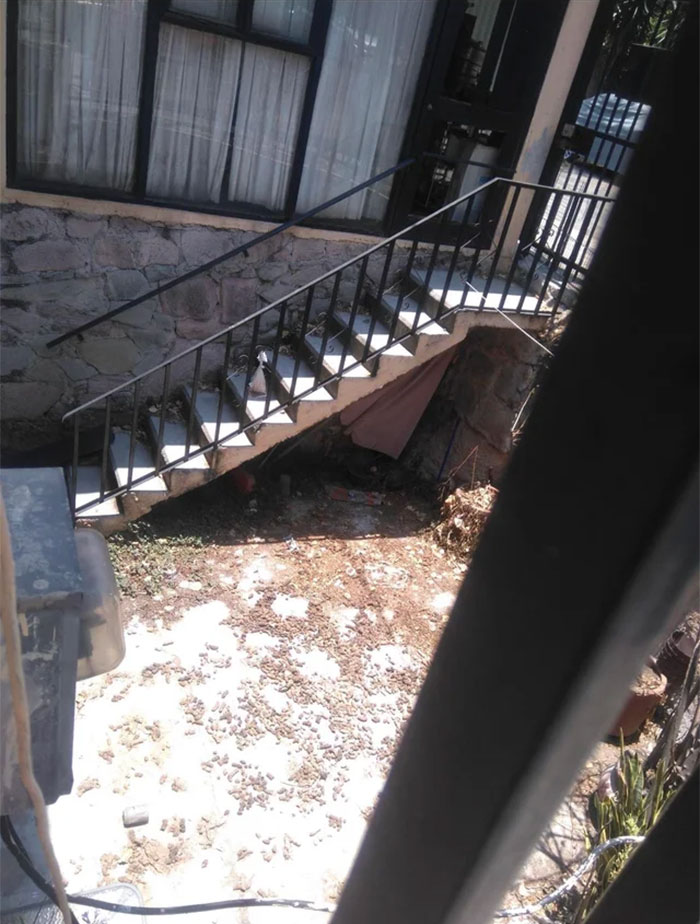 Pick Up Your Dogs Poop