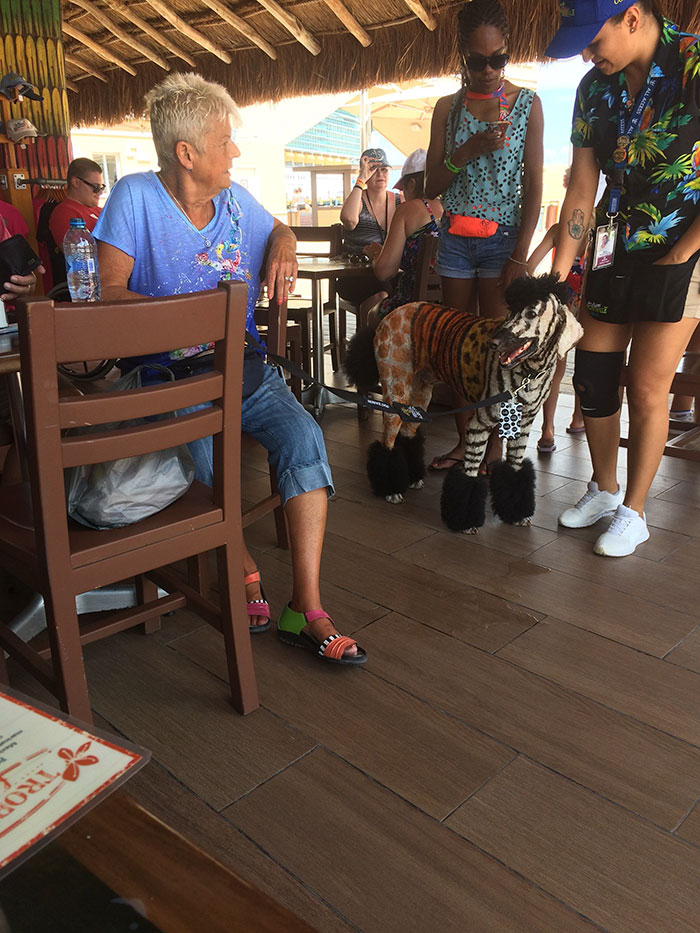 Receiving A Medical Service Dog And Turning It Into Your Own Traveling Sideshow