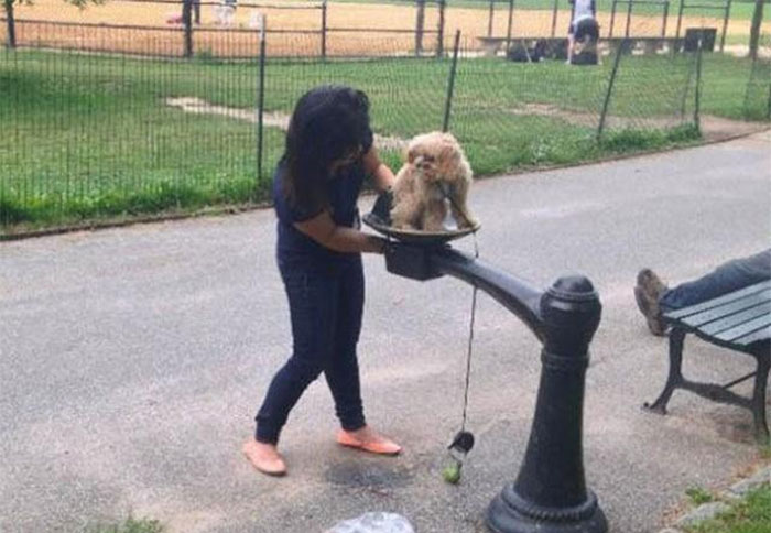 Woman Uses A Drinking Fountain As A Doggy Bidet