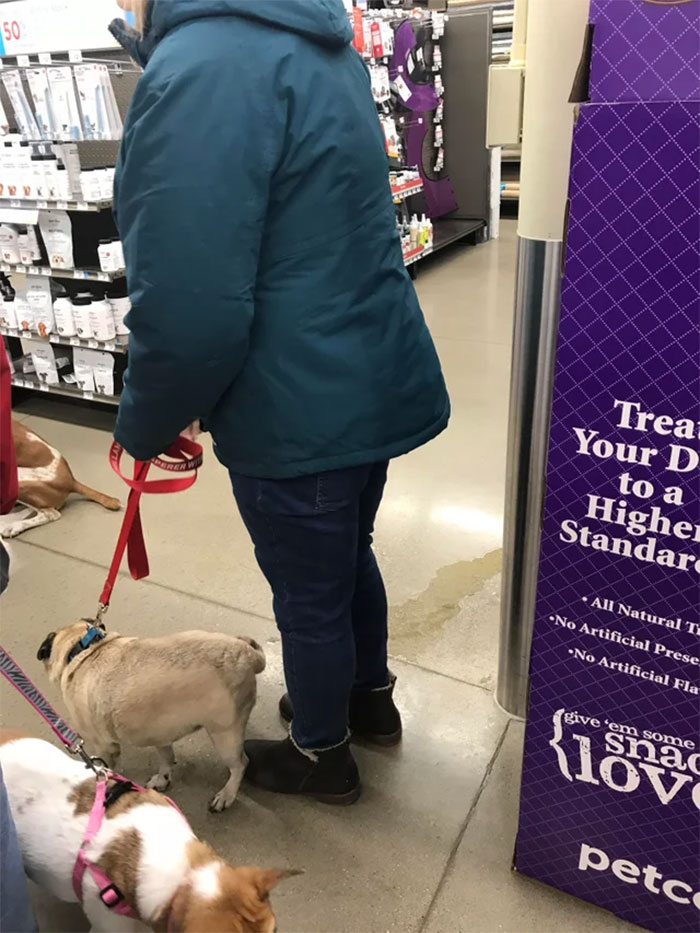Pretending Your Pet Didn’t Pee All Over The Floor In Line For A Vet Clinic