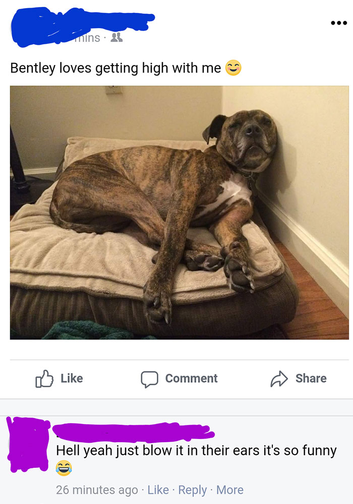 Her Dog Loves Getting High With Her