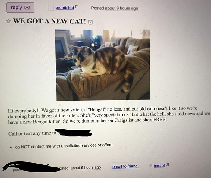 These Are The Type Of People Who Shouldn’t Be Allowed To Have Pets Whatsoever