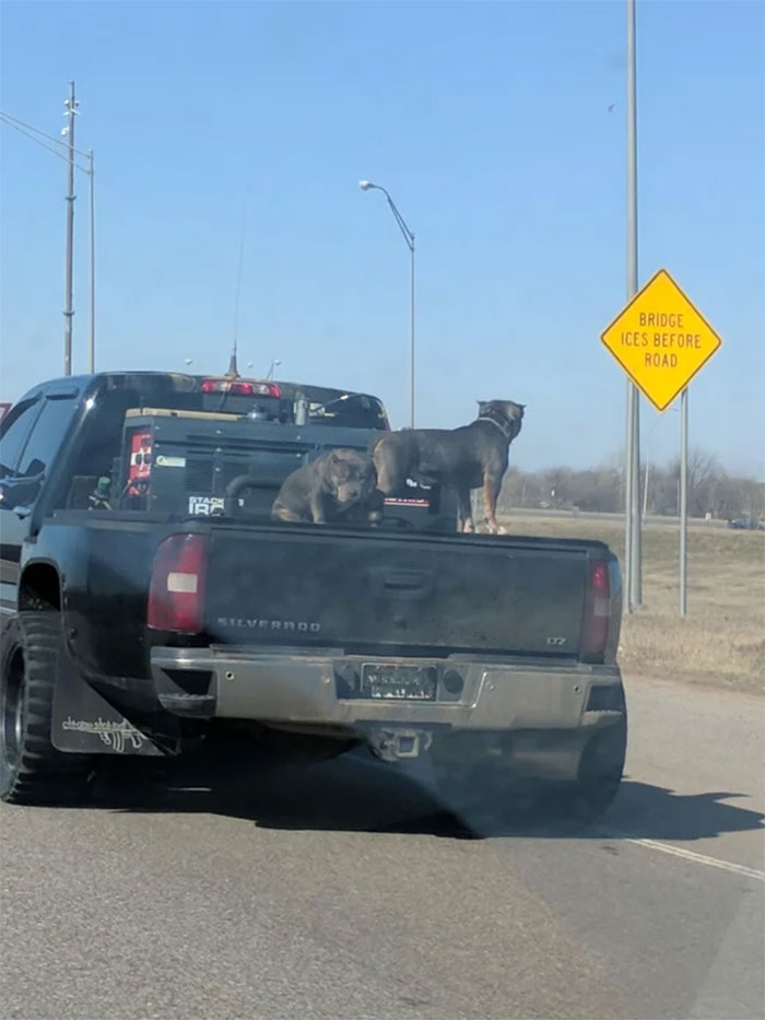 Not In The Bed. Not Tied Down. Thats Safe