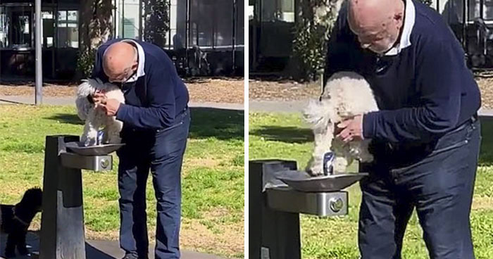 30 Idiotas que no se merecen tener una mascota