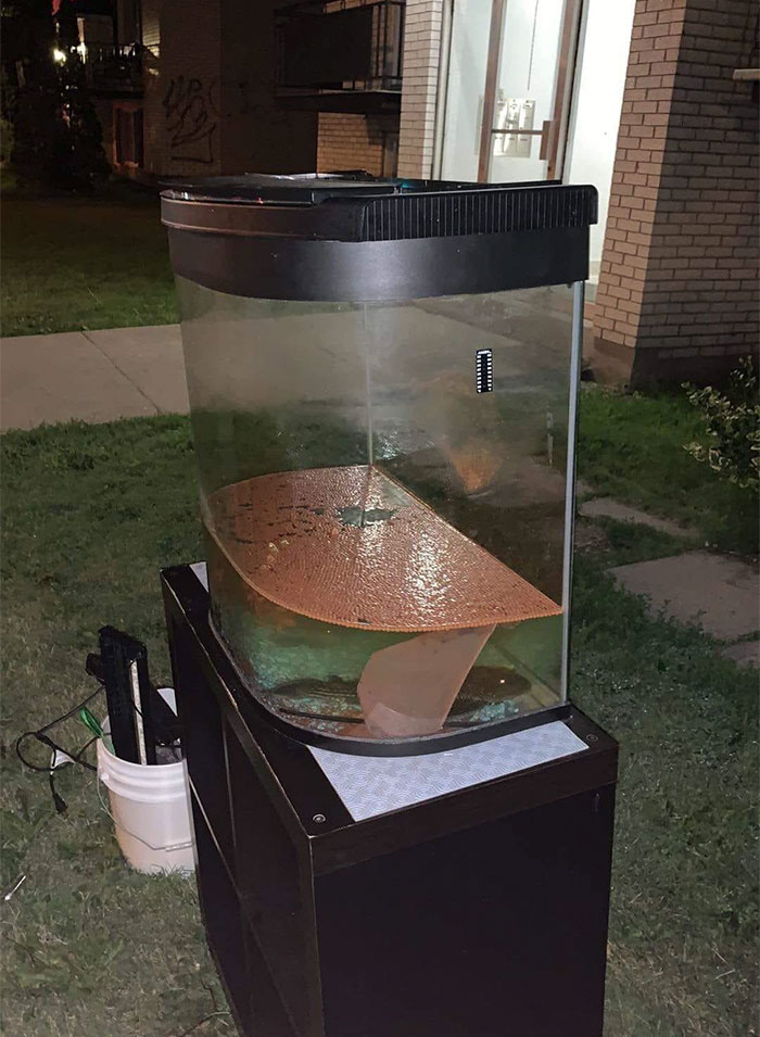 Previous Owner Abandons Aquarium With Two Live Fish And Overfilled Amount Of Food
