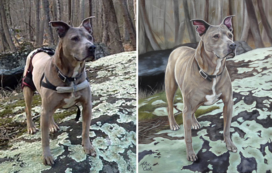 Mosely, Oil On Linen, 11x14