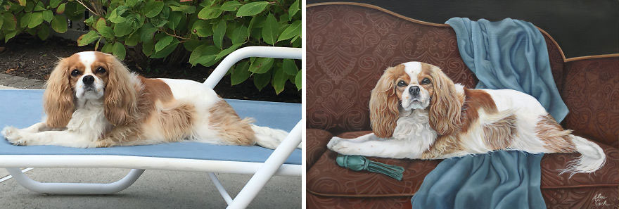 Patches, Oil On Canvas, 20x30