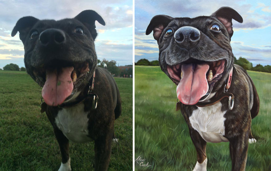 Roxie, Oil On Linen, 16x20