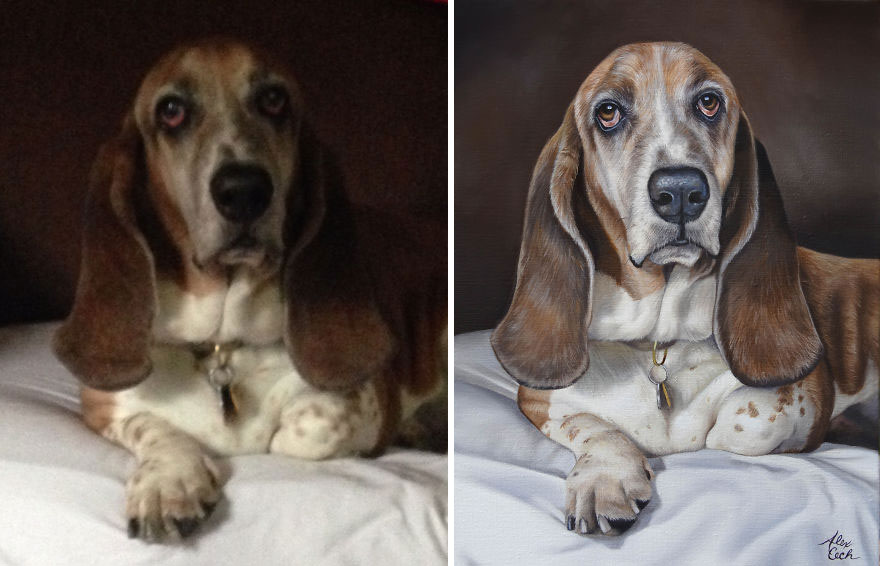 Fred, Oil On Linen, 12x16