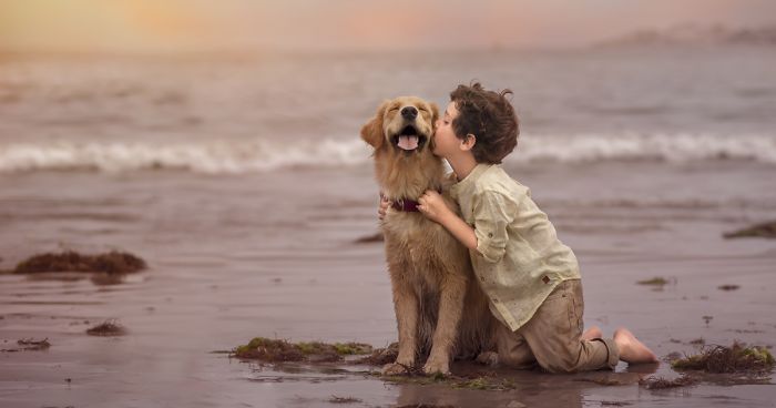 16 Pics Of The Adventures Of Our Son And Our New Dog Nana Captured From The Moment They Met