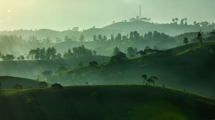 The Most Stunning Shots Of Nature Captured By Talented Photographers From All Over The World (50 Pics)