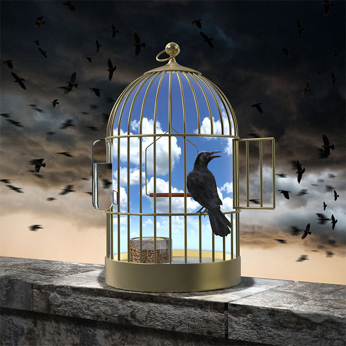 My 27 Illustrations That Reveal The Truth Behind Modern Polish Society