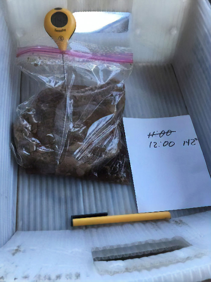 USPS Worker Cooks A Steak Inside His Truck To Showcase How Dangerously Hot His Work Conditions Are USPS Worker Cooks A Steak Inside His Truck To Showcase How Dangerously Hot His Work Conditions Are