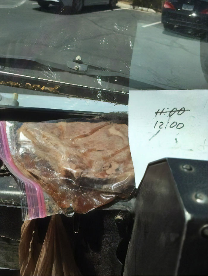 USPS Worker Cooks A Steak Inside His Truck To Showcase How Dangerously Hot His Work Conditions Are USPS Worker Cooks A Steak Inside His Truck To Showcase How Dangerously Hot His Work Conditions Are