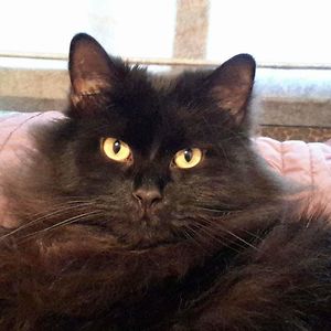 jaspertalk2me avatar