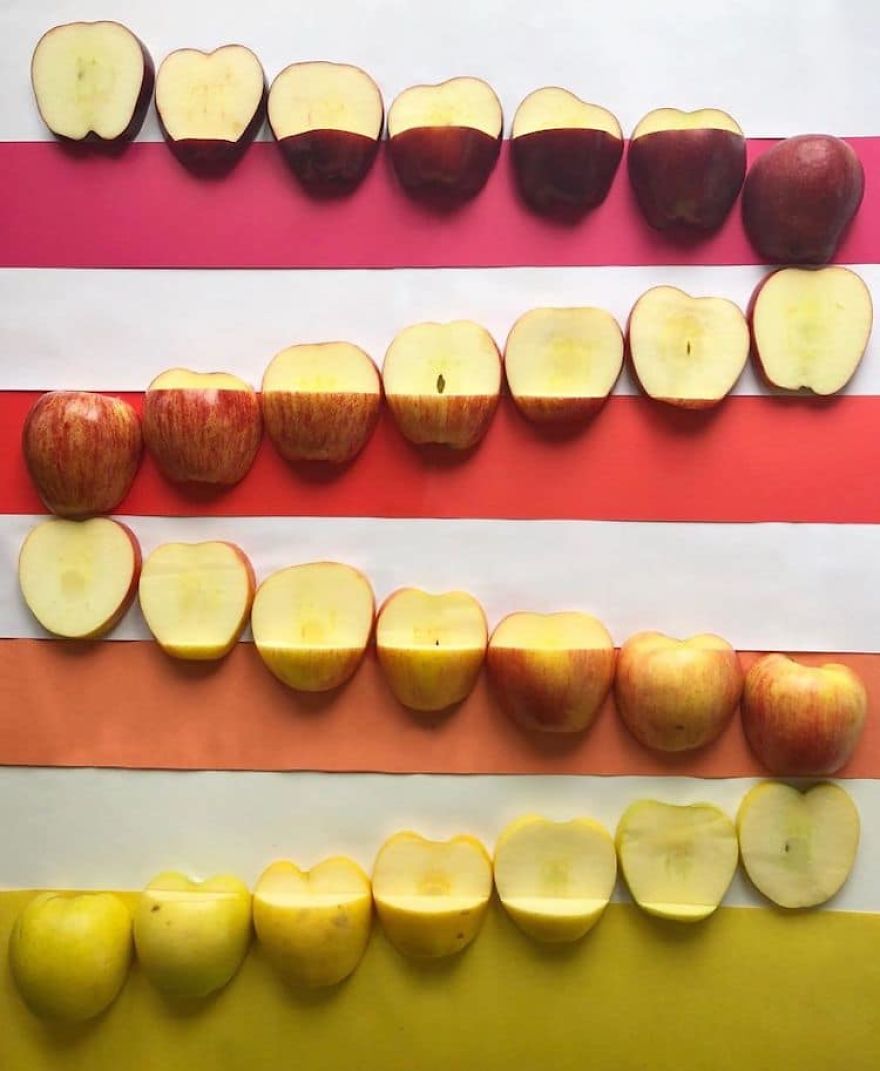 Satisfying-Arrangements-Food-Art-Adam-Hilman
