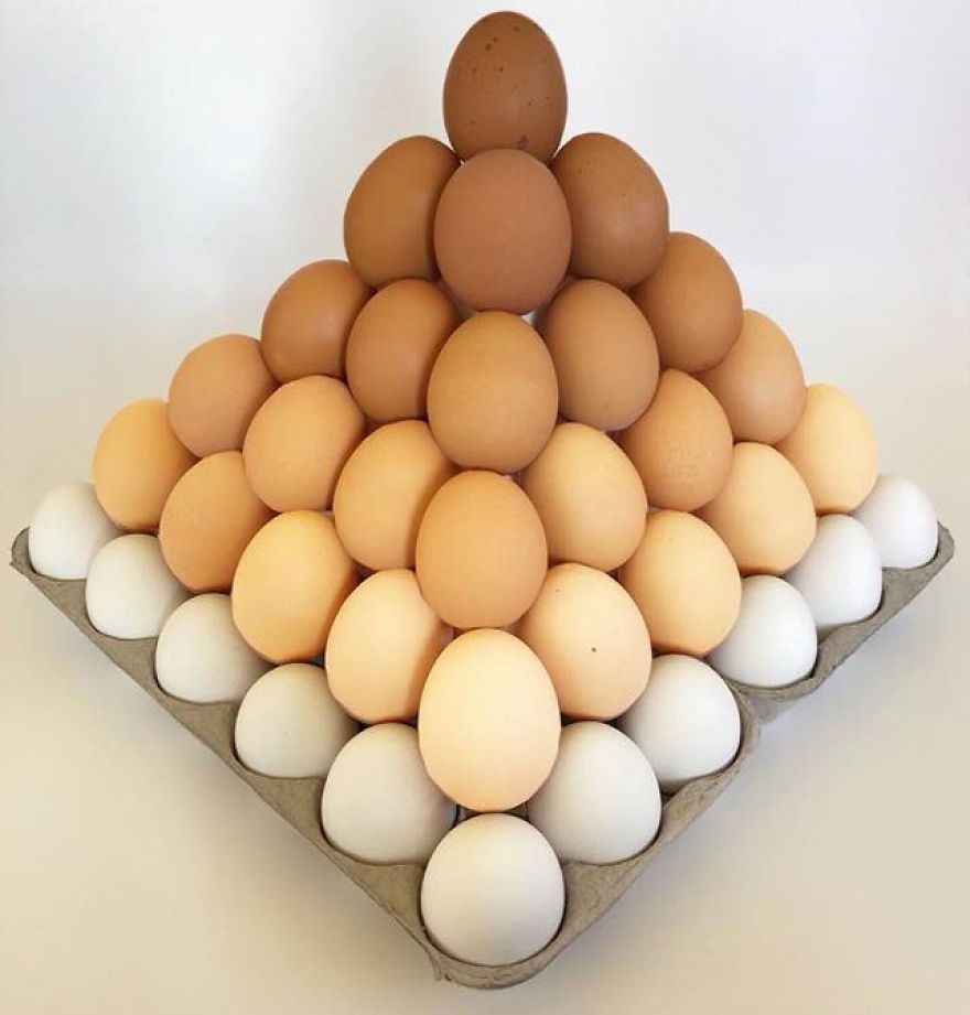 Satisfying-Arrangements-Food-Art-Adam-Hilman