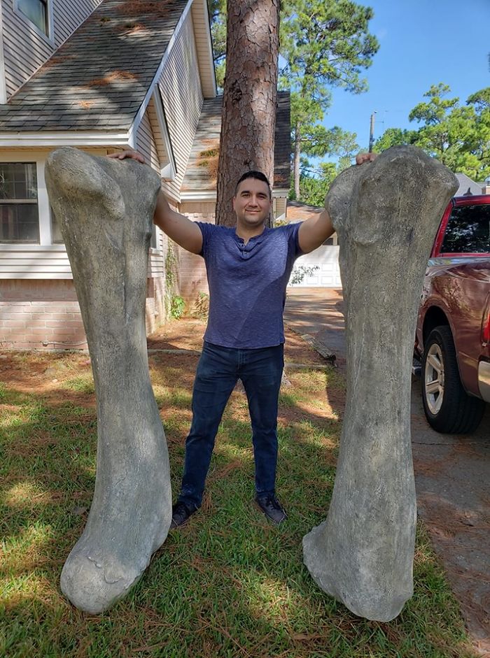 The Gentleman Who Had These Said He Got Them From The Natural Museum Of Science In San Antonio. Did I Score 4 Of Them? Yes I Did! No Bones About It!!!