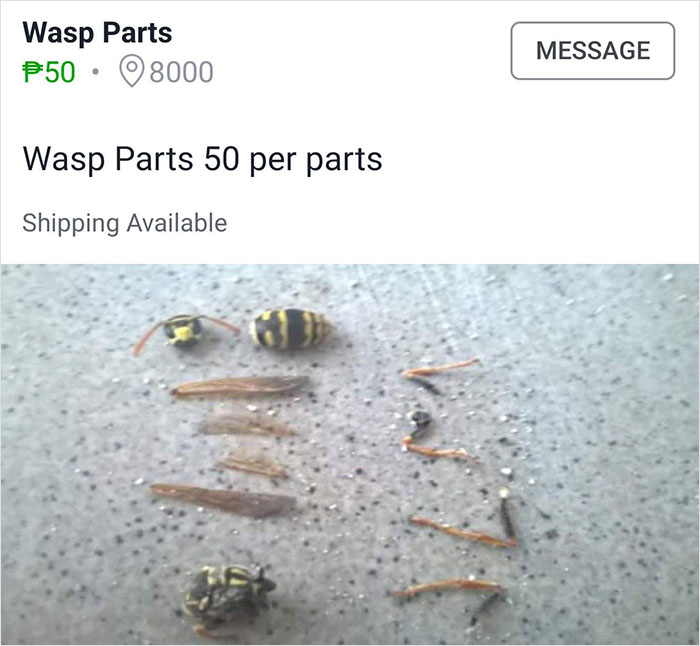 Thank God Shipping Is Available